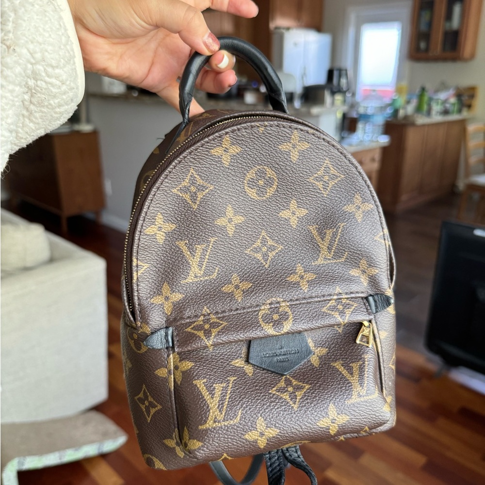 Authentic Louis Vuitton palm springs mini backpack